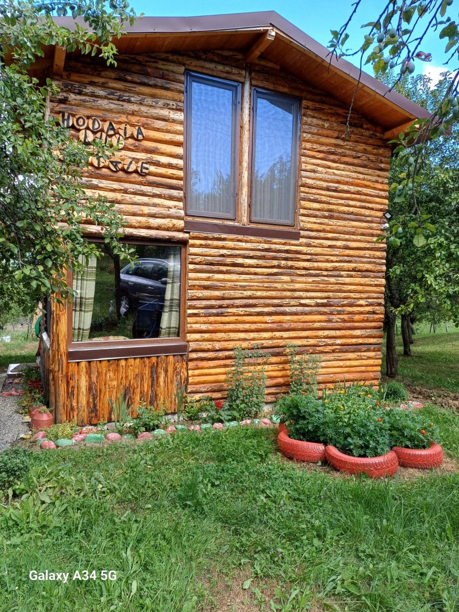 La Tataie Nucsoara Nucşoara Zewnętrze zdjęcie